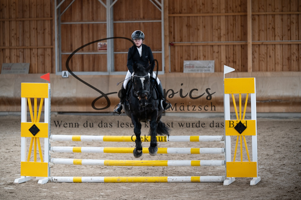 A7V00326 | Pferdefotograf