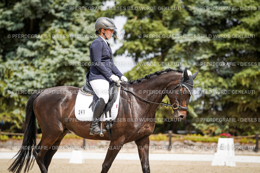 DSC02911 | Pferdegrafie