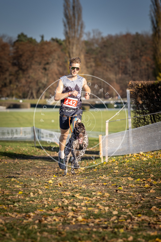 CaniXpix_DV3A0338 | Hundefotografie, Tierfotograf, Pfotenfotografie, Fotoshooting Hund, Hunde Portrait, Hundesport, Hundeportraits, Heideshooting, Hunde, Sportfotograf, Hundefotograf, Turnierhundsport, THS,  - Realisiert mit Pictrs.com