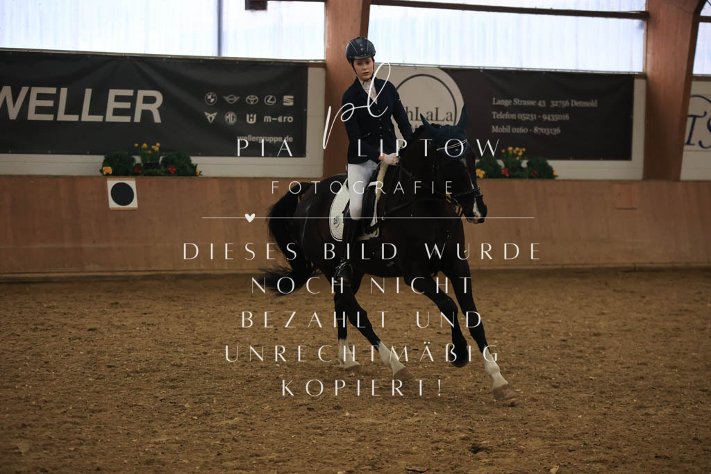 IMGT0814 | pl-fotografie