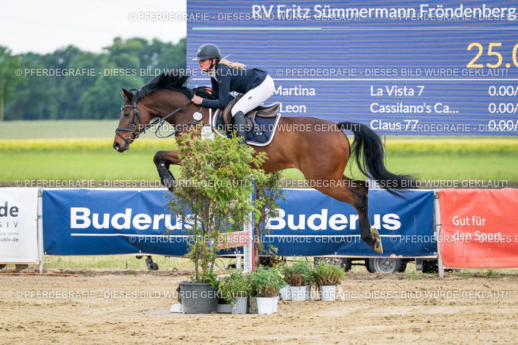 DSC05816 | Pferdegrafie