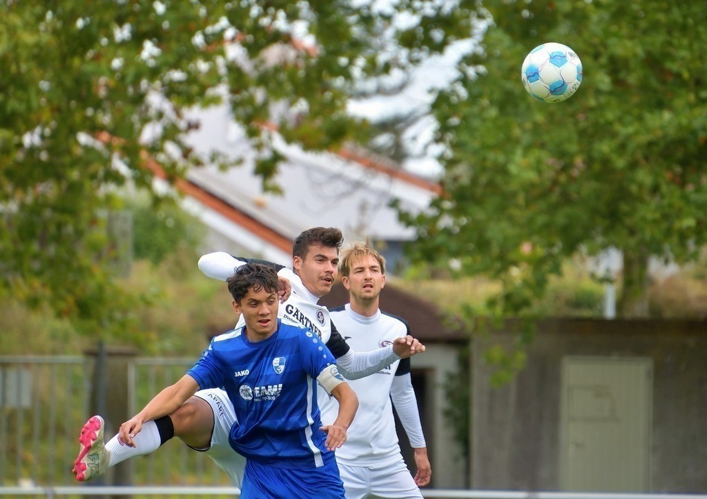 DSC_6019_1334SVR 23.08.23_Nikontop rad | PFALZFOTO - Serena Wobus - Realisiert mit Pictrs.com