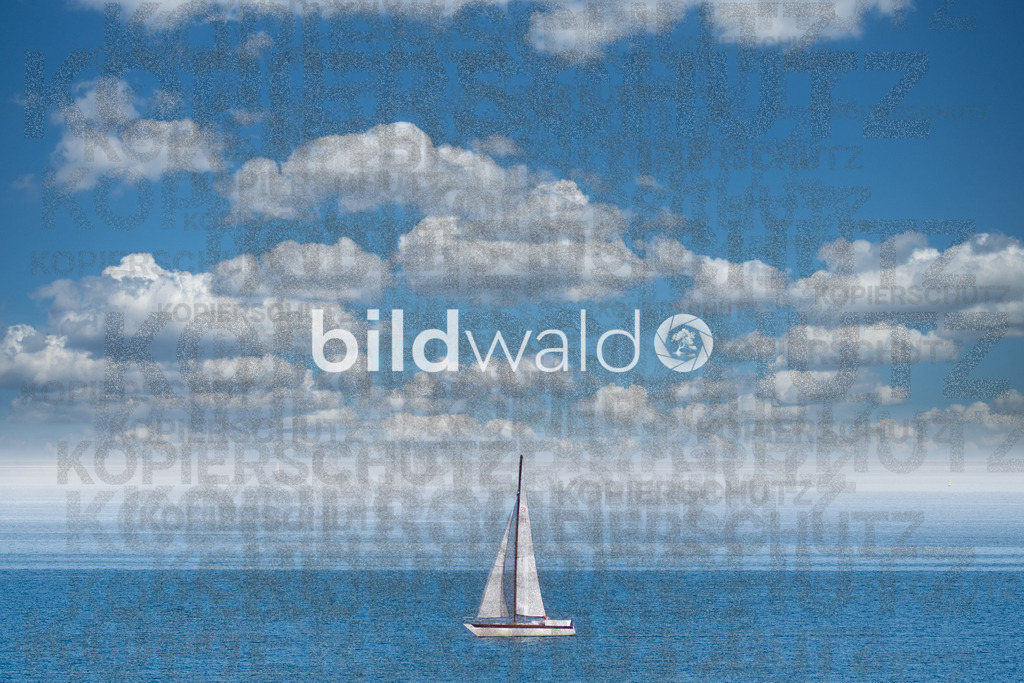 _A7_6507-Bearbeitet | BILDWALD - eine Auswahl an Bildern von Thomas Perrotton zum bestellen und genießen. Alle Bilder von Thomas Perrotton - Alle Bilder mit einer SONY Kamera gemacht - SONY TAMRON SIGMA PHOTOSHOP LIGHTROOM BILDWALD Online kaufen Bilderwald Wandbilder - Realisiert mit Pictrs.com