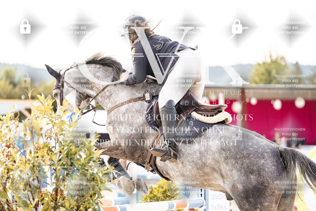 CK906239 | Turnierfotografie Pferdefotografie Trier Rheinland-Pfalz Pferdesport Reitsport Tierfotografie Sportfotografie Pferdevideo Pferdevideografie Equestrianvideography equestrianphotography  - Realisiert mit Pictrs.com