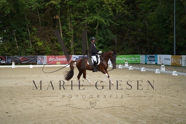VAN00384 | Marie Giesen Fotografie - Realisiert mit Pictrs.com