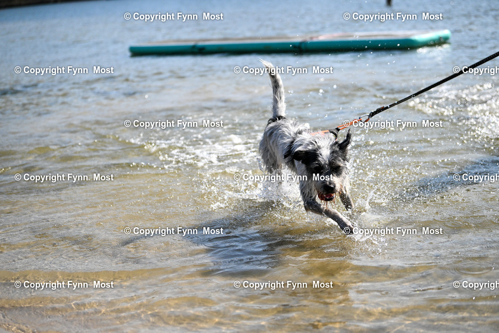 DSC_1130 | Hallo und herzlich Willkommen auf meiner Shop-Seite Fynn Most.

Ich wünsche Dir viel Spaß beim stöbern durch die Bilder, wenn Du Fragen hast oder Bilder vermisst, kannst du mir gerne eine Nachricht schreiben. - Realisiert mit Pictrs.com