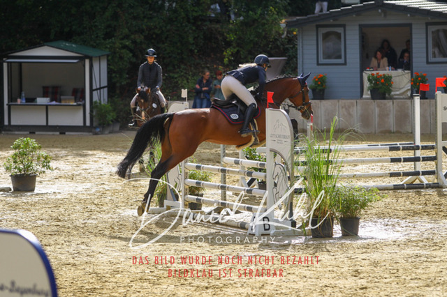 DKP40333 | Turniersportfotografie; Pferdefotografie; Dressurfotografie