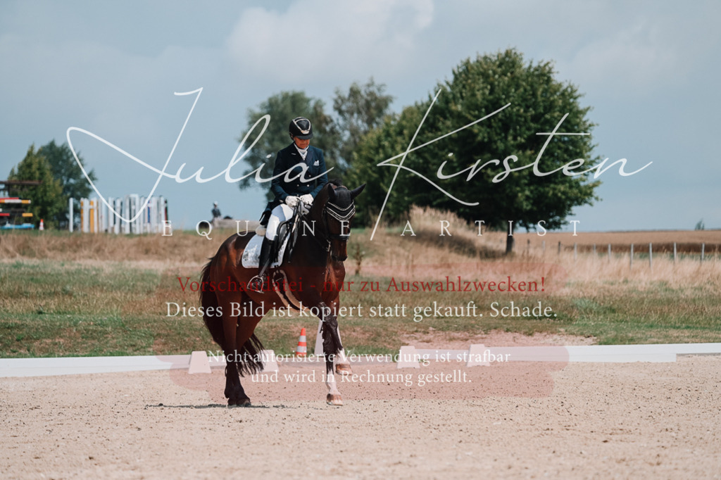 DSC_3879 | Pferde- und Turnierfotografie in Westsachsen. Pferdeportraits, Auftragszeichnungen und intuitive Kunst.