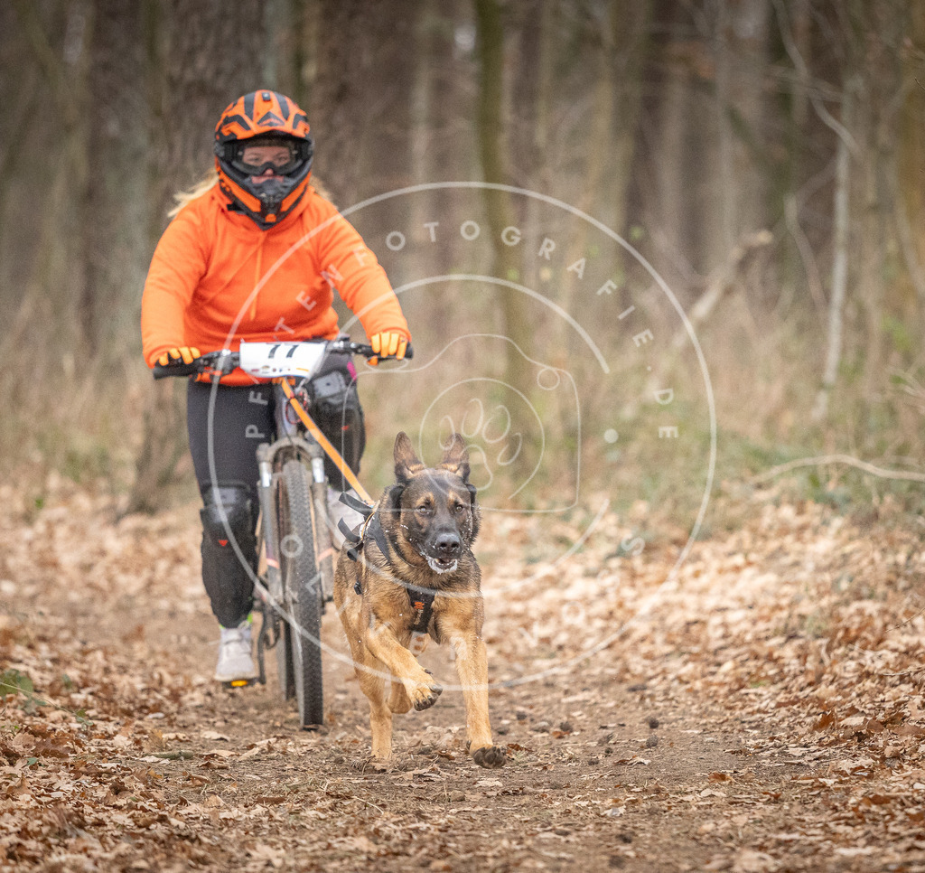 Pfotenfotografie_DV3A5772 | Hundefotografie, Tierfotograf, Pfotenfotografie, Fotoshooting Hund, Hunde Portrait, Hundesport, Hundeportraits, Heideshooting, Hunde, Sportfotograf, Hundefotograf, Turnierhundsport, THS,  - Realisiert mit Pictrs.com