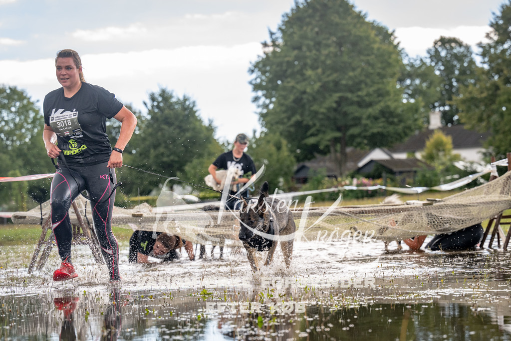 1354_ZZ90310 | kk-dogfotos