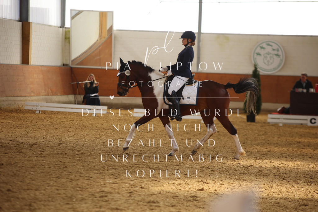 IMGT3742 | pl-fotografie