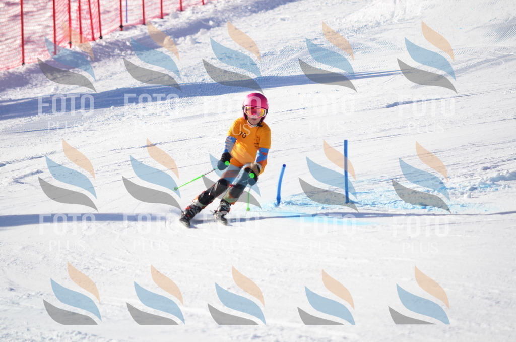 C5873 | holidayphoto