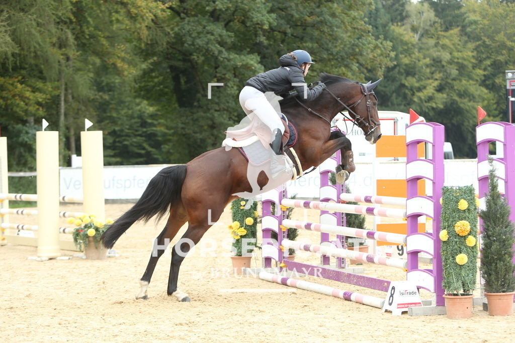DL2Q6595 | Willkommen bei Brunnmayr - Design & Fotografie – Ihrem Spezialisten für Reitturniere und Pferdeveranstaltungen in Oberösterreich, Salzburg und Bayern! Seit über 17 Jahren sind wir leidenschaftlich dabei.