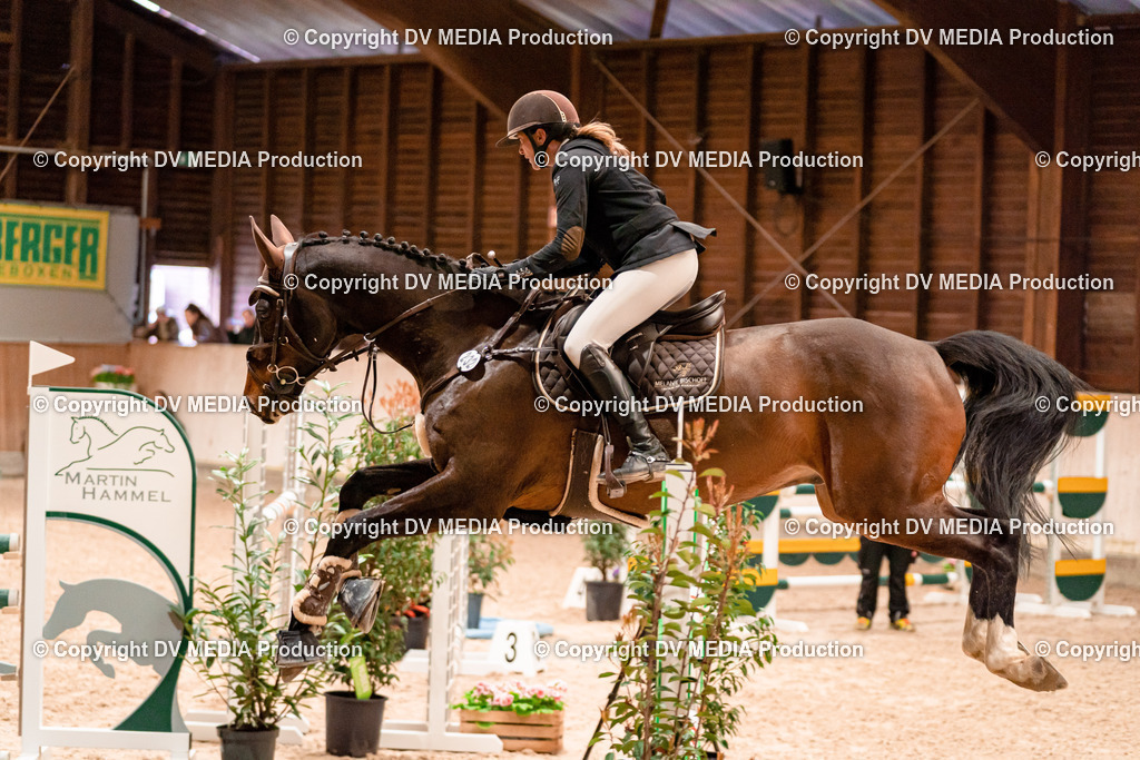 Springen Tag 1-321 | dv-media-shop - Realisiert mit Pictrs.com