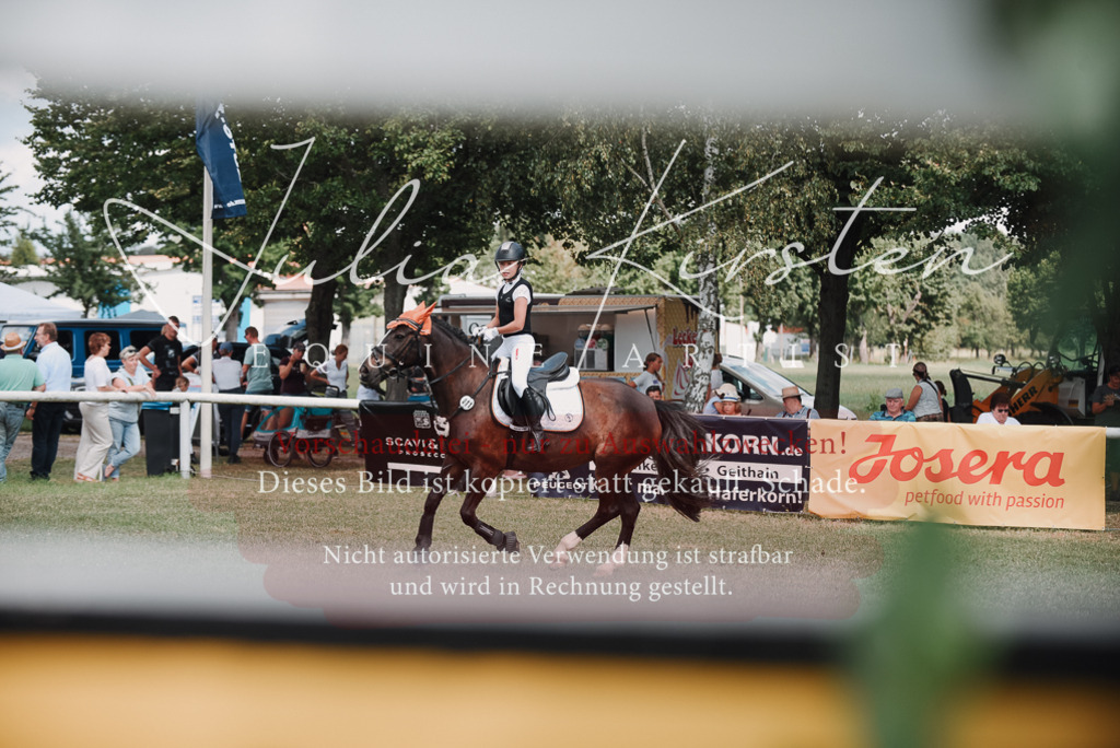 DSC_5694 | Pferde- und Turnierfotografie in Westsachsen. Pferdeportraits, Auftragszeichnungen und intuitive Kunst.