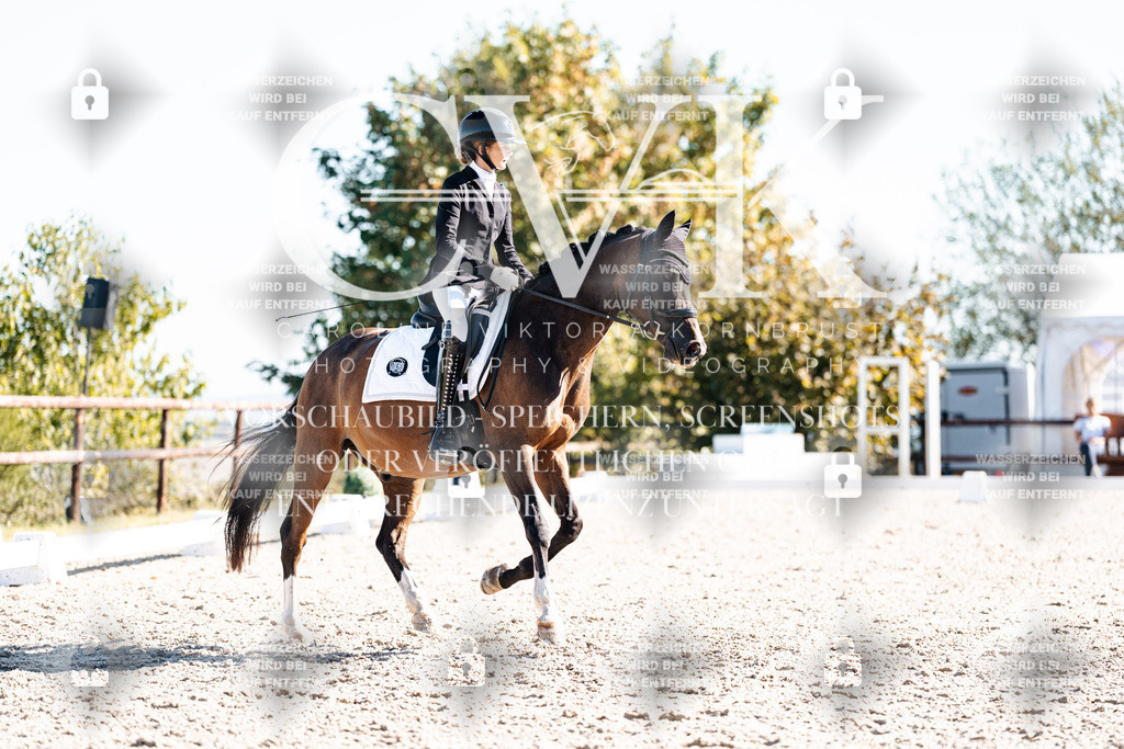 CK908563 | Turnierfotografie Pferdefotografie Trier Rheinland-Pfalz Pferdesport Reitsport Tierfotografie Sportfotografie Pferdevideo Pferdevideografie Equestrianvideography equestrianphotography  - Realisiert mit Pictrs.com