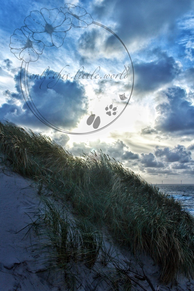 IMG_0024-01 | only.this.little.world - Realisiert mit Pictrs.com