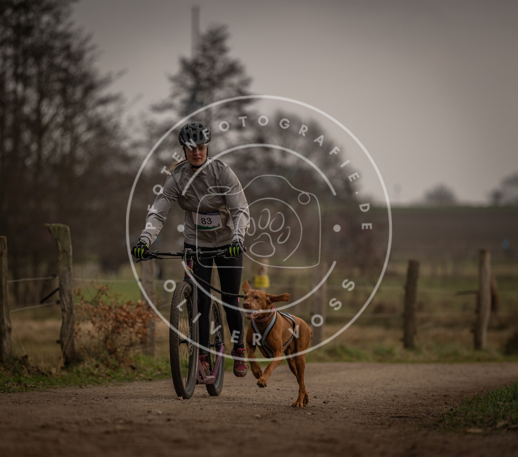 Pfotenfotografie_DV3A4004 | Hundefotografie, Tierfotograf, Pfotenfotografie, Fotoshooting Hund, Hunde Portrait, Hundesport, Hundeportraits, Heideshooting, Hunde, Sportfotograf, Hundefotograf, Turnierhundsport, THS,  - Realisiert mit Pictrs.com