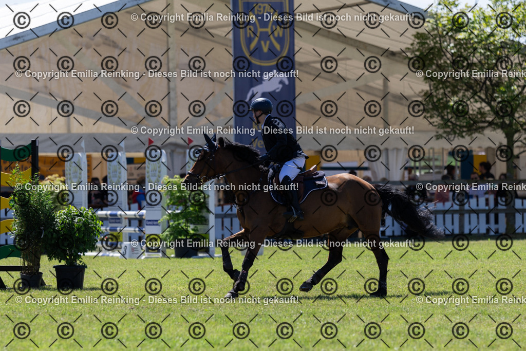 CL5A1036 | Emilia Reinking Fotografie - Realisiert mit Pictrs.com