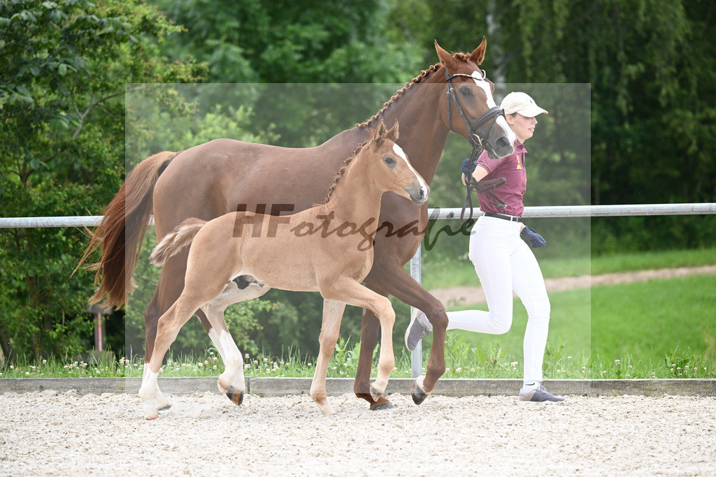 Vivaldos x Belissimo M_HF_Baier_20240247 | hf-fotografie - Realizzato con Pictrs.com