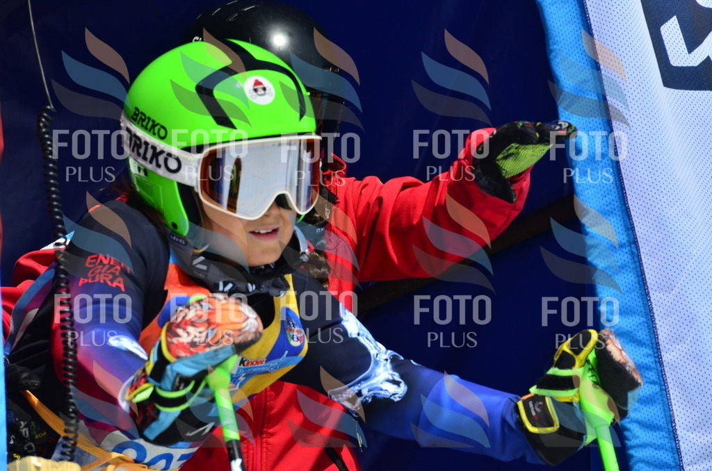 _ELE1417 | holidayphoto