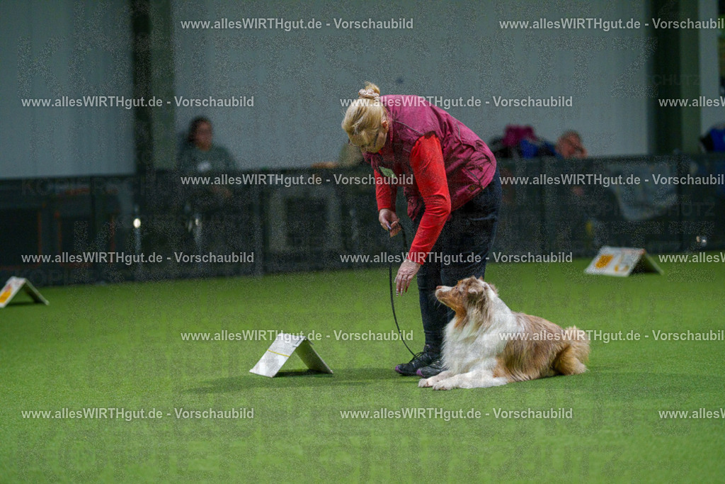 7R505277 | Professionelle Tierfotografie in Mönchengladbach von Daniel Wirth (allesWIRTHgut). Liebevolle & natürliche Bilder von Hunden & Katzen für unvergessliche Erinnerungen.