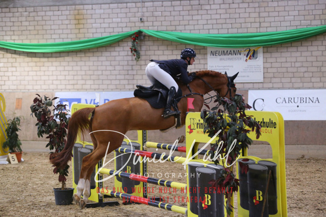 IMG_0877 | Deine Turnierfotos vom Reitturnier online kaufen: Dressur, Springen & Siegerehrung. Professionelle Pferdefotografie aus dem Rheinland – als Download & Print.Alternative: Turnierfotograf für den Pferdesport: Finde deine Fotos von Dressur- und Springturnier