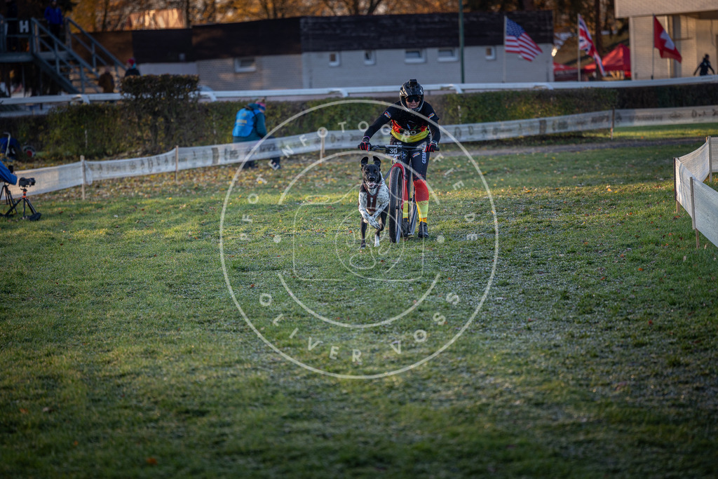 CaniXpix_0L8A1599 | Hundefotografie, Tierfotograf, Pfotenfotografie, Fotoshooting Hund, Hunde Portrait, Hundesport, Hundeportraits, Heideshooting, Hunde, Sportfotograf, Hundefotograf, Turnierhundsport, THS,  - Realisiert mit Pictrs.com