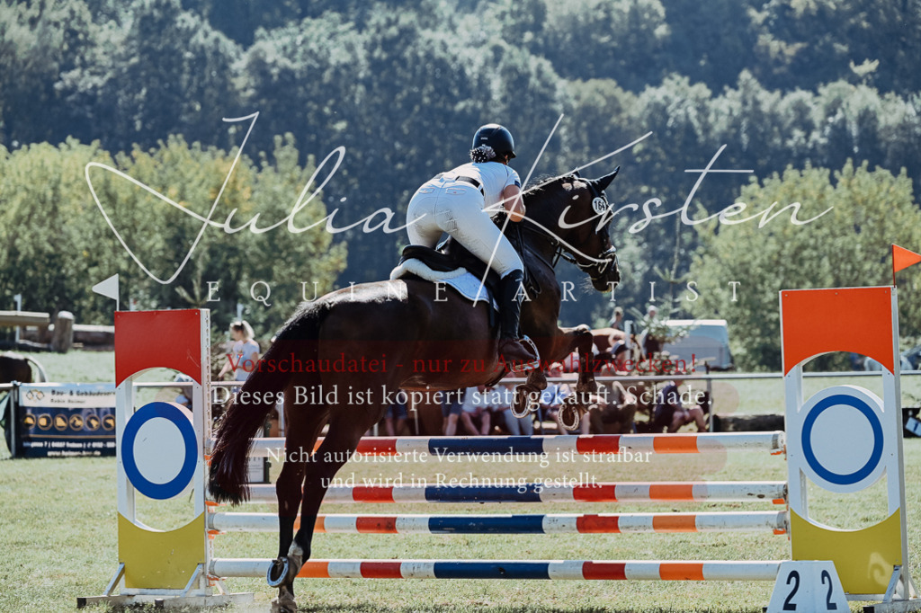 DSC_5958 | Pferde- und Turnierfotografie in Westsachsen. Pferdeportraits, Auftragszeichnungen und intuitive Kunst.