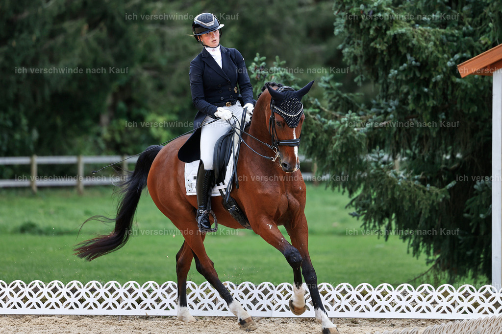 11-048-Dressur S___-StoibPH-1403 | working equitationturnier fotograf videograf stoibphotography marixx film working equitation deutschland reitsport turnierfotografie eventfotografie equestrian events
