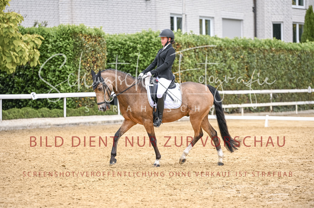 Schugtsche-Aluta25-41.Amat-Dressurprf.A_-544 | Schugtsche Fotografie - Realisiert mit Pictrs.com