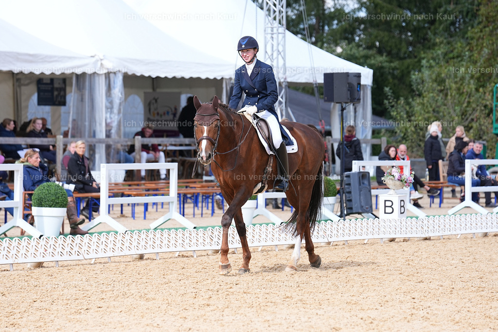 09_2-114-DRESSUR  S_  -Marixx-5989 | working equitationturnier fotograf videograf stoibphotography marixx film working equitation deutschland reitsport turnierfotografie eventfotografie equestrian events