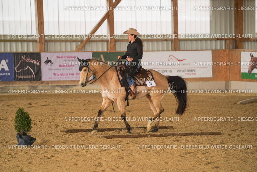 DSC01455 | Pferdegrafie