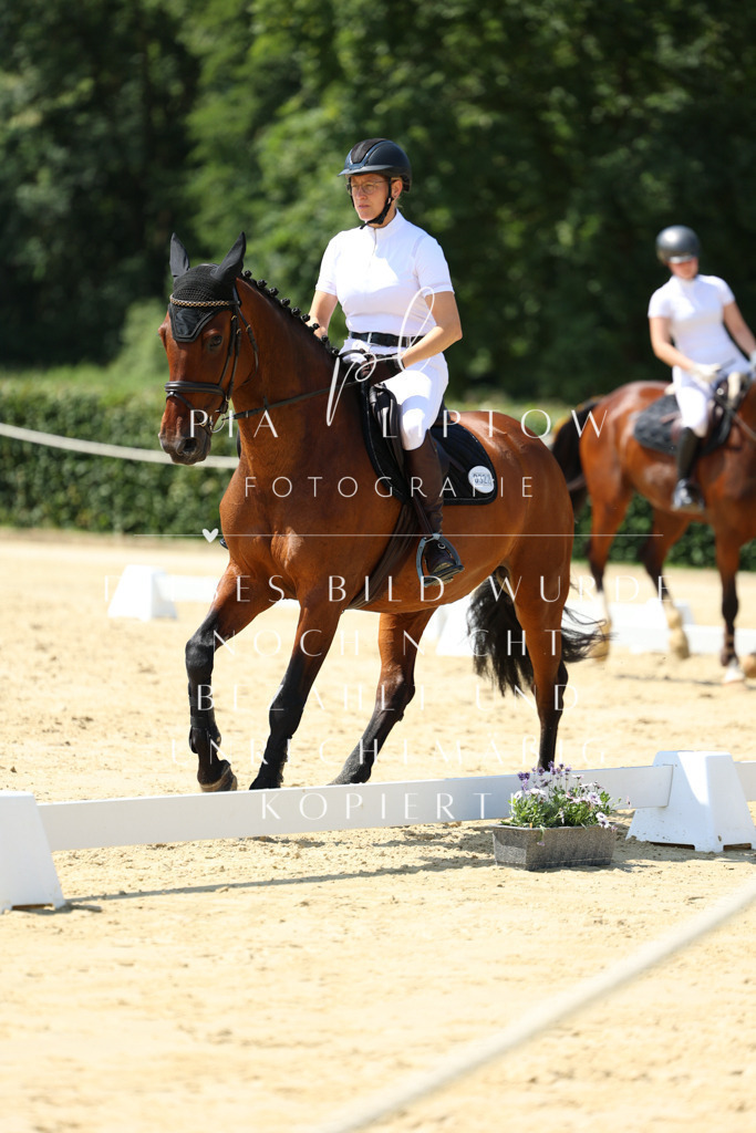 IMGM0792 | pl-fotografie