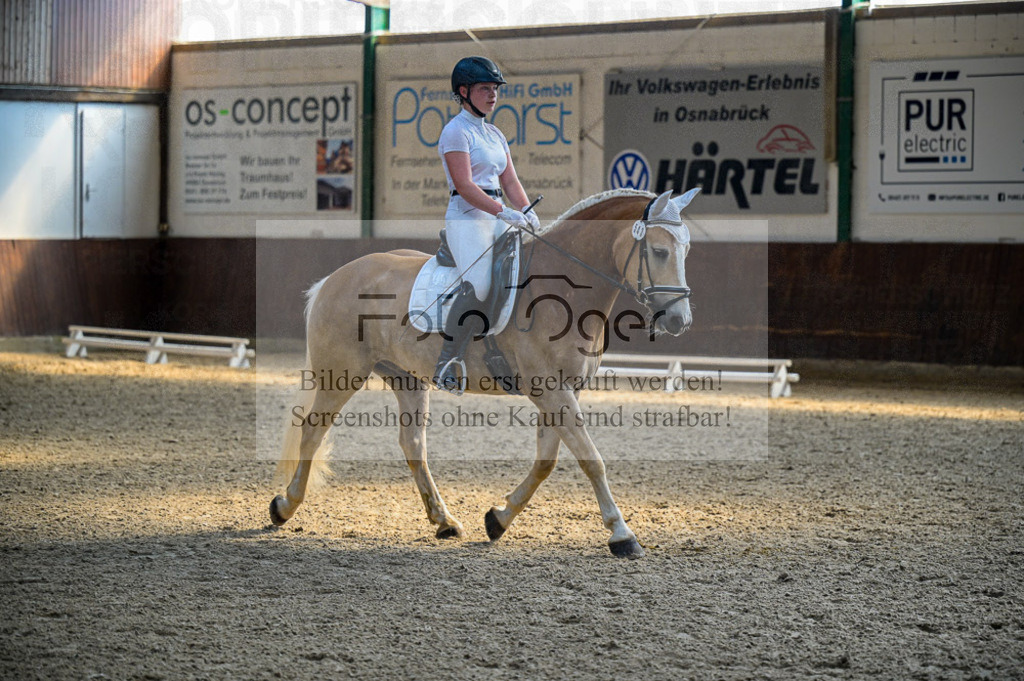 Reitturnier Voxtrup | Entdecke hochwertige Reitturnierfotos von Foto Oger. Professionell, emotional und authentisch – jetzt Lieblingsmomente im Shop bestellen.Deutschlandweite Turnierfotografie. - Realisiert mit Pictrs.com