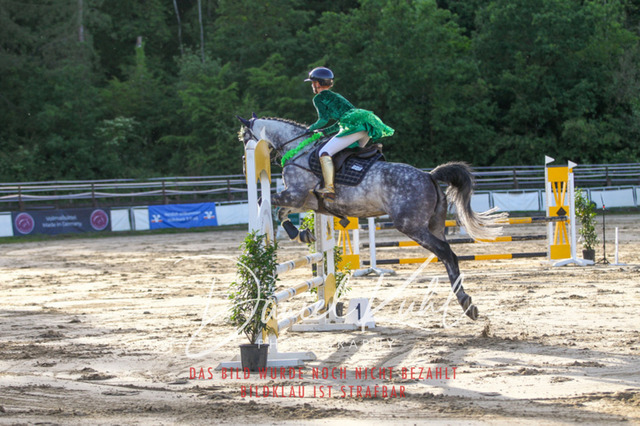 DKP45187 | Turnierfotos kaufen im Webshop von Daniel Kuhl Photography – entdecke professionelle Reitsportfotos aus Turnieren & Events. Hochwertige Turnierbilder online bestellen & sichern. Jetzt Fotos von Reitsportturnieren kaufen!
