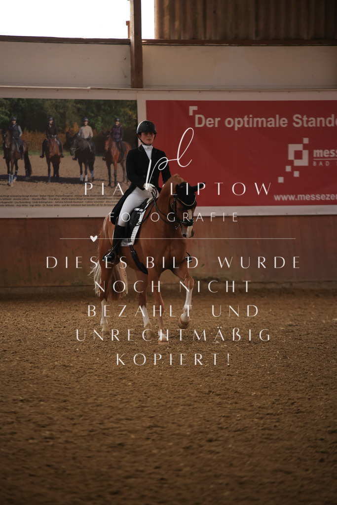 IMGT4626 | pl-fotografie