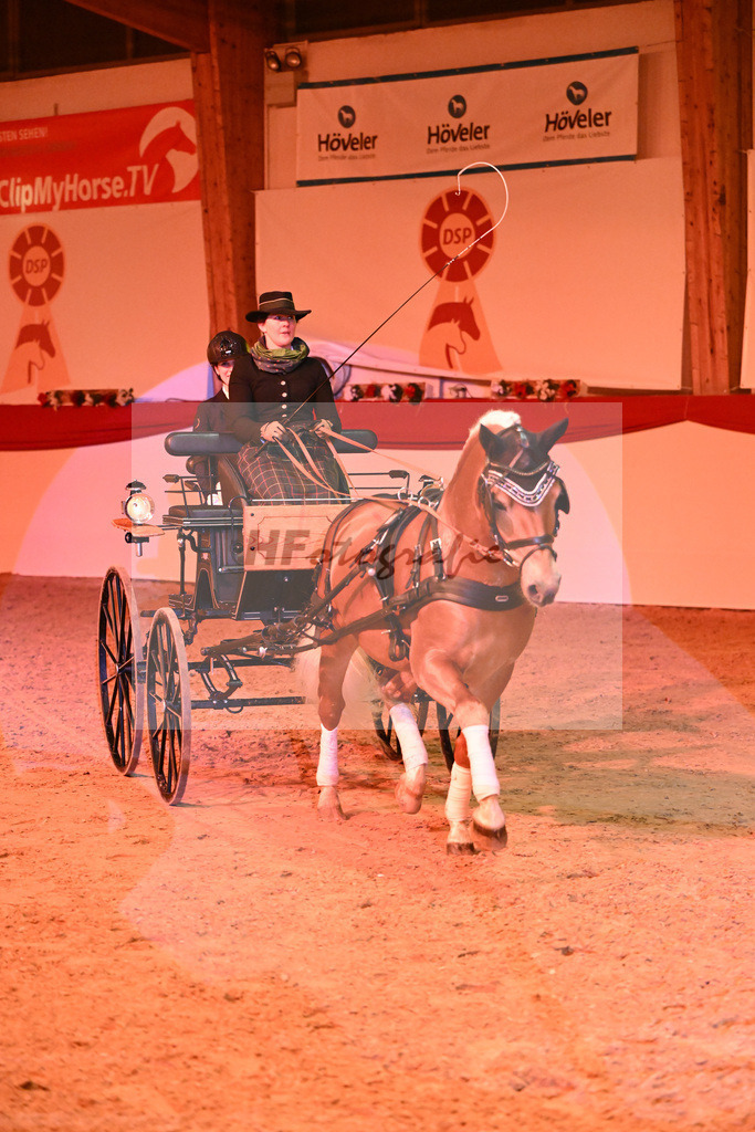 Avici Ass_1234966 | hf-fotografie - Realisiert mit Pictrs.com