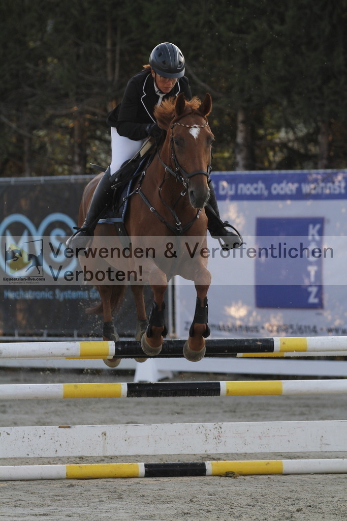 _MG_7019 | equestrian-live-com