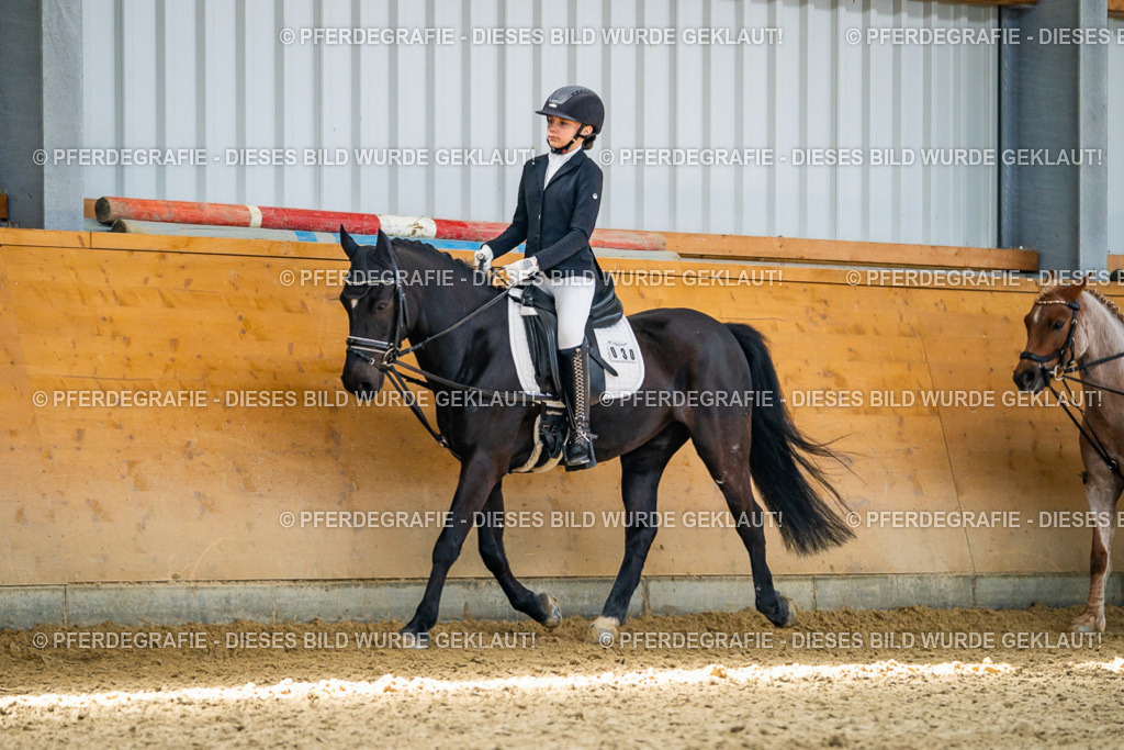 DSC02451 | Pferdegrafie