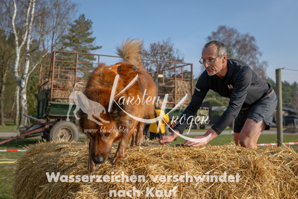 _ZZ93988 | kk-dogfotos