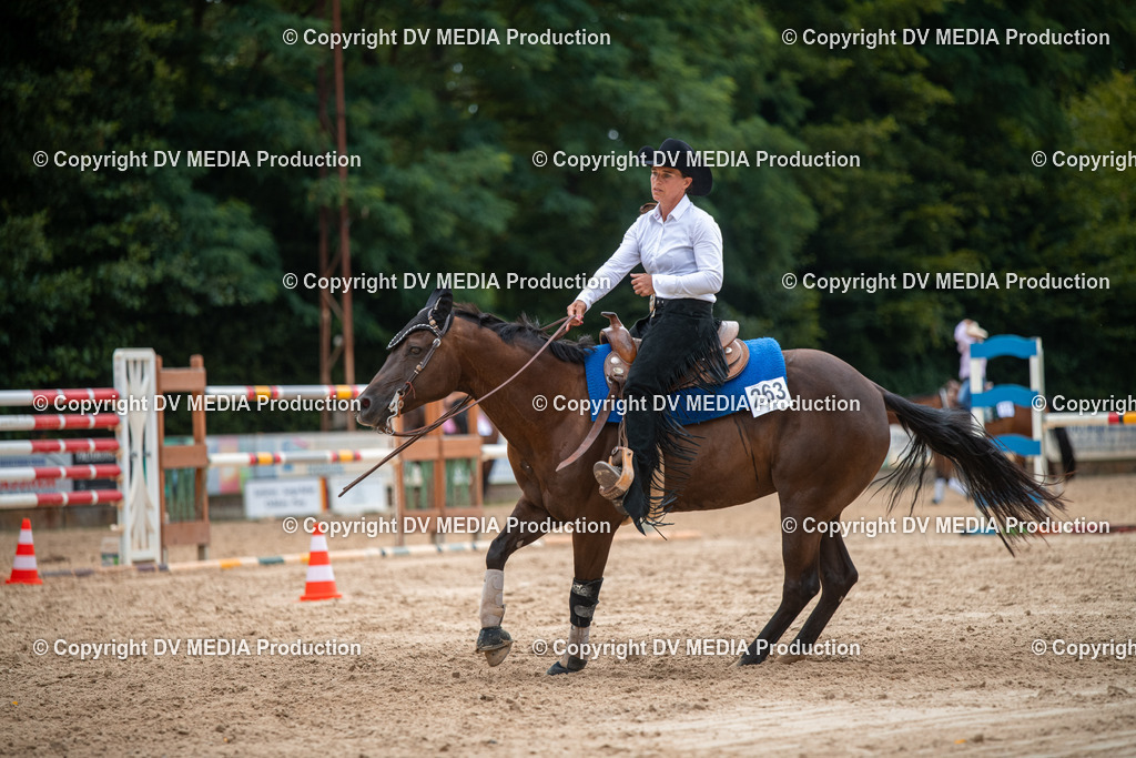 ZS2_8636 | dv-media-shop - Realisiert mit Pictrs.com