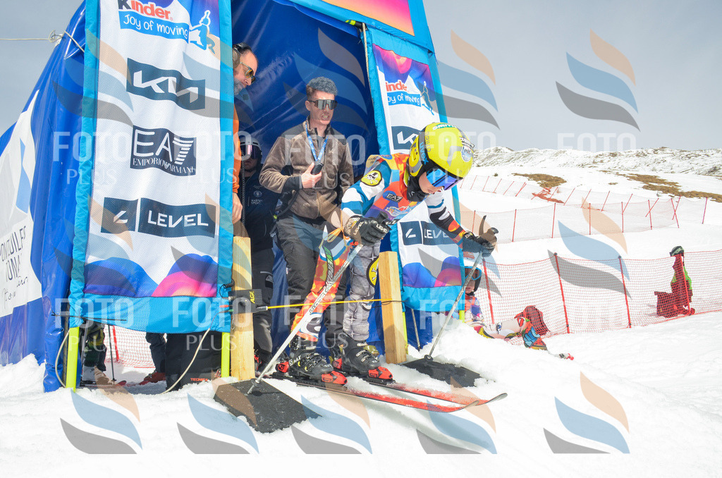 _ELE7788 | holidayphoto