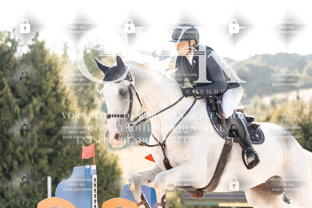 CK901581 | Turnierfotografie Pferdefotografie Trier Rheinland-Pfalz Pferdesport Reitsport Tierfotografie Sportfotografie Pferdevideo Pferdevideografie Equestrianvideography equestrianphotography  - Realisiert mit Pictrs.com