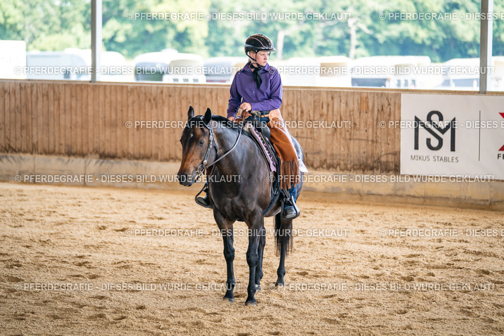 DSC01523 | Pferdegrafie