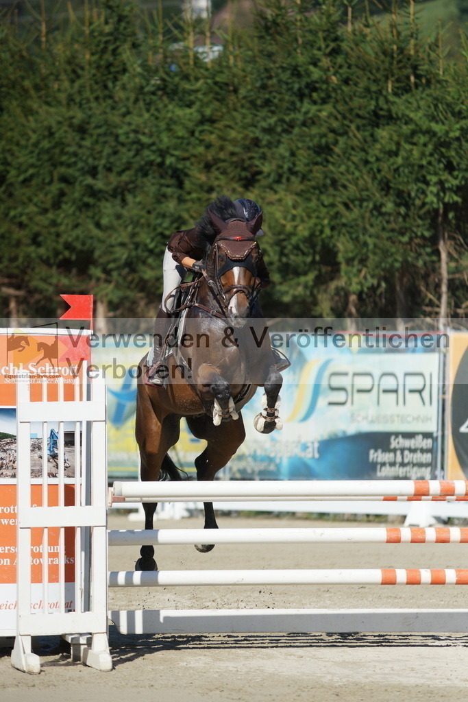 DSC02948 | equestrian-live-com