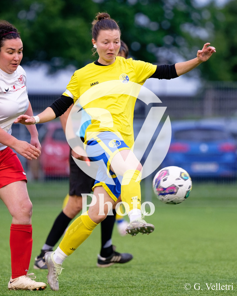 DSC_0078 | Velletri Photo