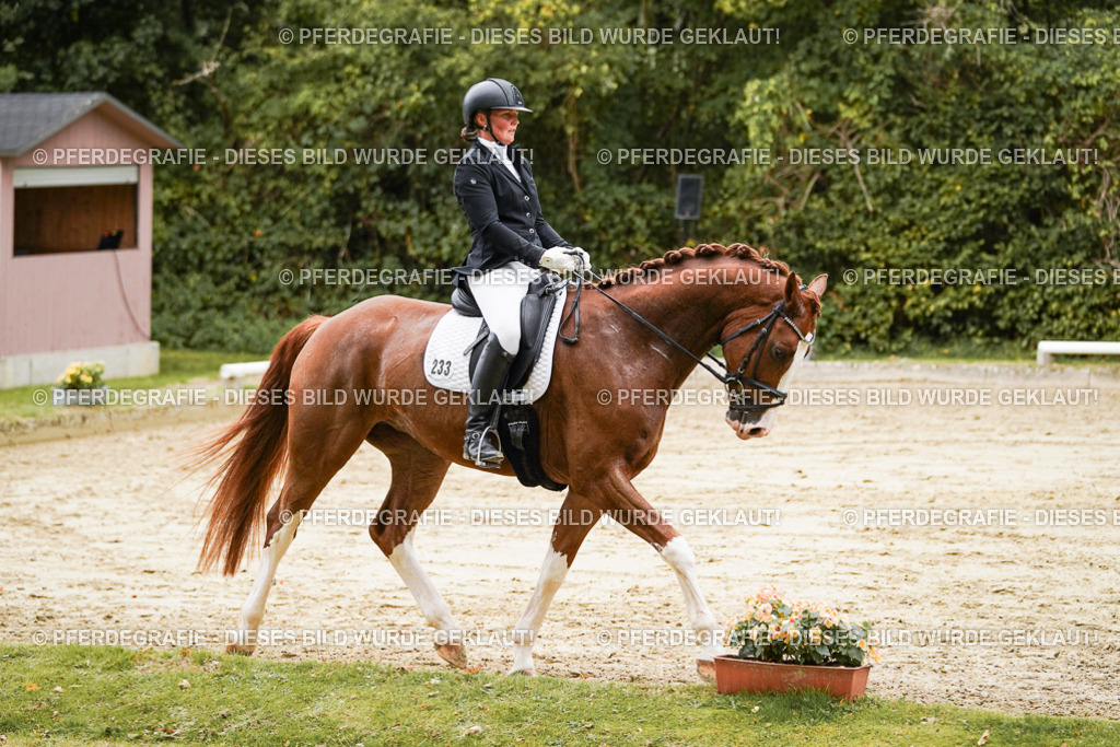 DSC00449 | Pferdegrafie