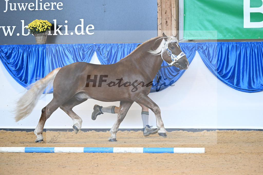 Kat-Nr. 90 Venturin_Hollinger u Ober_53220535 | hf-fotografie - Realisiert mit Pictrs.com
