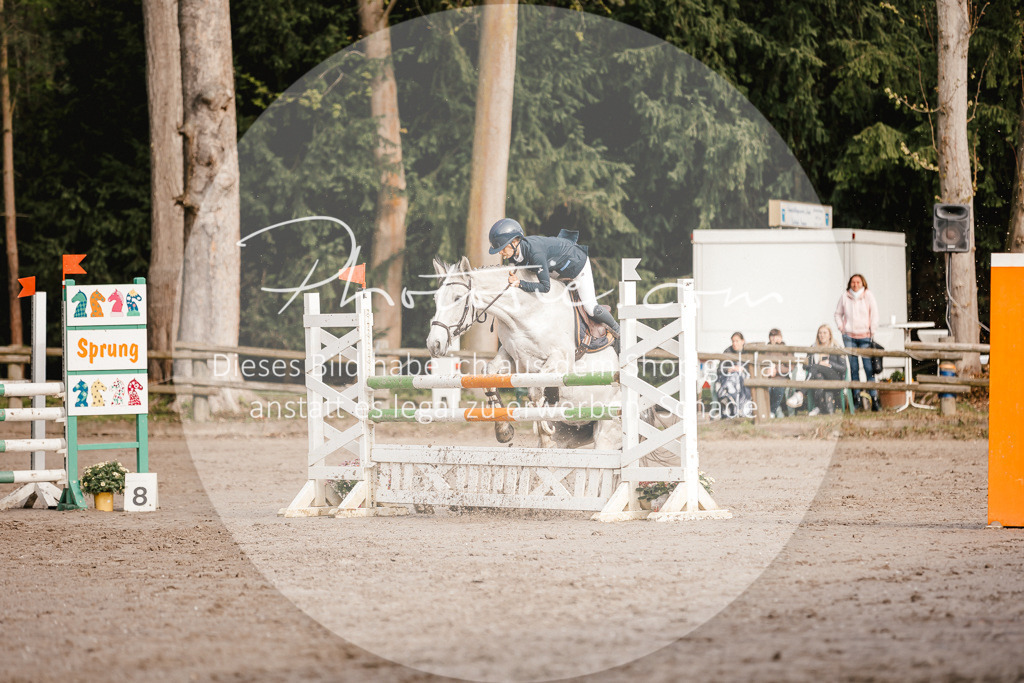 3I6A3371 | Stimmungsvolle Portraits und Reitsportfotografie im Ruhrgebiet und im Münsterland.

Pferdefotografie, Hundefotografie, Tierfotografie, Reportagen, Portraits von Tier und Mensch, Turnierfotografie in Bochum, Recklinghausen, Marl, Haltern am See, Dülmen.. - Realisiert mit Pictrs.com